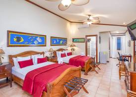 Hotel Villas Lirio 4