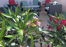 Hotel Dorè 3