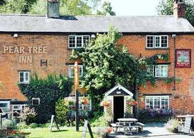 The Pear Tree 3