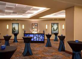 Houston Airport Marriott at George Bush Intercontinental 3