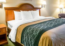 Comfort Inn & Suites Las Cruces Mesilla 4