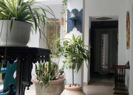 El Patio Courtyard House 5
