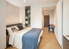 Enclave Croydon - Campus Accommodation 5