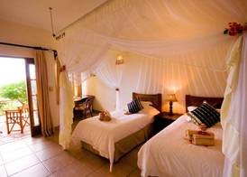 Casa Rex by Sol Resorts 5