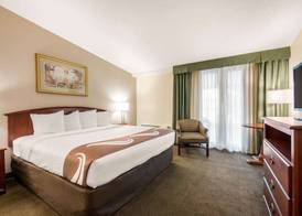 Quality Inn & Suites Tarpon Springs South 4