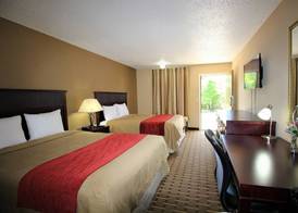 The Night Inn 3