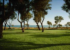 Lito Beach Hotel 4