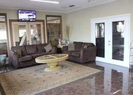 Tampa Inn Near Busch Gardens 2