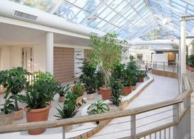 IFA Rügen Hotel & Ferienpark 3