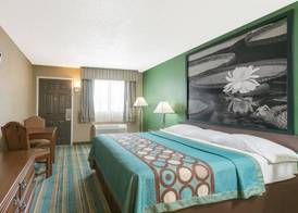 Super 8 by Wyndham Greencastle 3