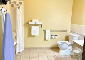 Holiday Inn Express & Suites ALICE by IHG 4