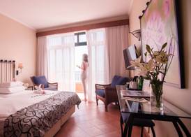 Alpino Atlantico Ayurveda Cure Centre Adults Only 4