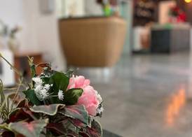 Hotel Mirò Rimini 2