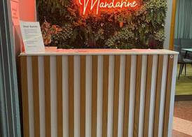 Mandarine hostel 2