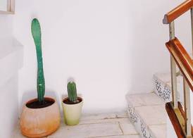 Duna Hotel Boutique 3