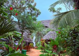 Oasis Nungwi 5