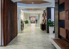 SpringHill Suites by Marriott Orlando Convention Center 3
