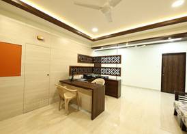 Areca Palms 2
