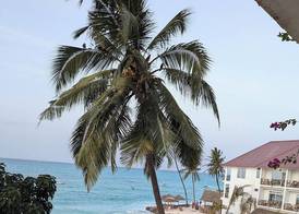 Kassandra Beach Hotel 5