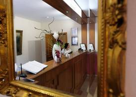 Romantica Hotel Blauer Hecht 5