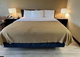 Rodeway Inn Walterboro I-95 5