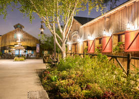 Disney Davy Crockett Ranch + Tickets 5