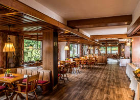 Sauerland Alpin Hotel 5