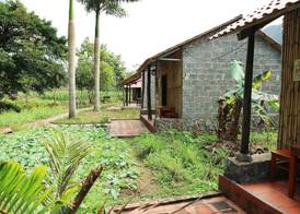 Viet Hai Lan Homestay 4