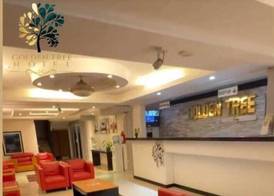 Golden Tree Hotel Belize 3