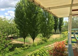 Camping Le Soline 2