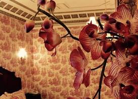 Manoir Sherbrooke 5