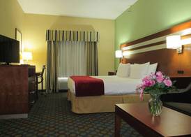 Spark by Hilton Troy 5
