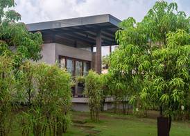 Woods at Sasan 5