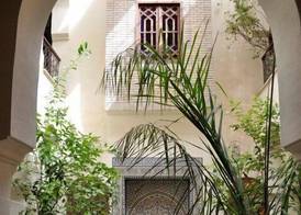 Nadir Home 2
