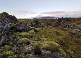 Lava Water - Miðhraun 3