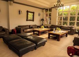 The Blowfish Hotel 5