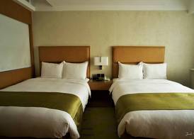 Ion Hotel 4
