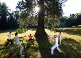 Rimske Terme Resort - Hotel Rimski dvor 5
