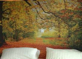 Hotel Goldflair am Rathaus 5