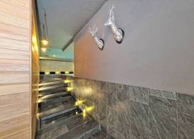 DV Chalet Boutique Hotel & Spa 5