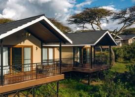 Ngorongoro Lion's Paw 3