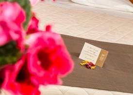Hotel & Aparthotel Carinthia S 3