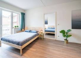 Lavish Apartment in Antwerp 3