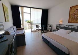 Palace Hotel Regina 5