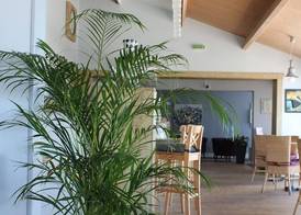 Hôtel des Dunes Noirmoutier 3