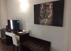 Hotel Fontana Plaza 3