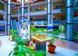 Hotel the Plaza 2