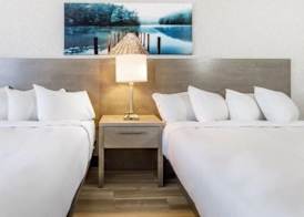 Repotel Levis 3