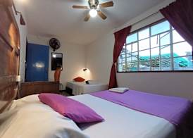 Ding-Dong Hostel 5