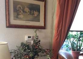 Hotel Bristol 2